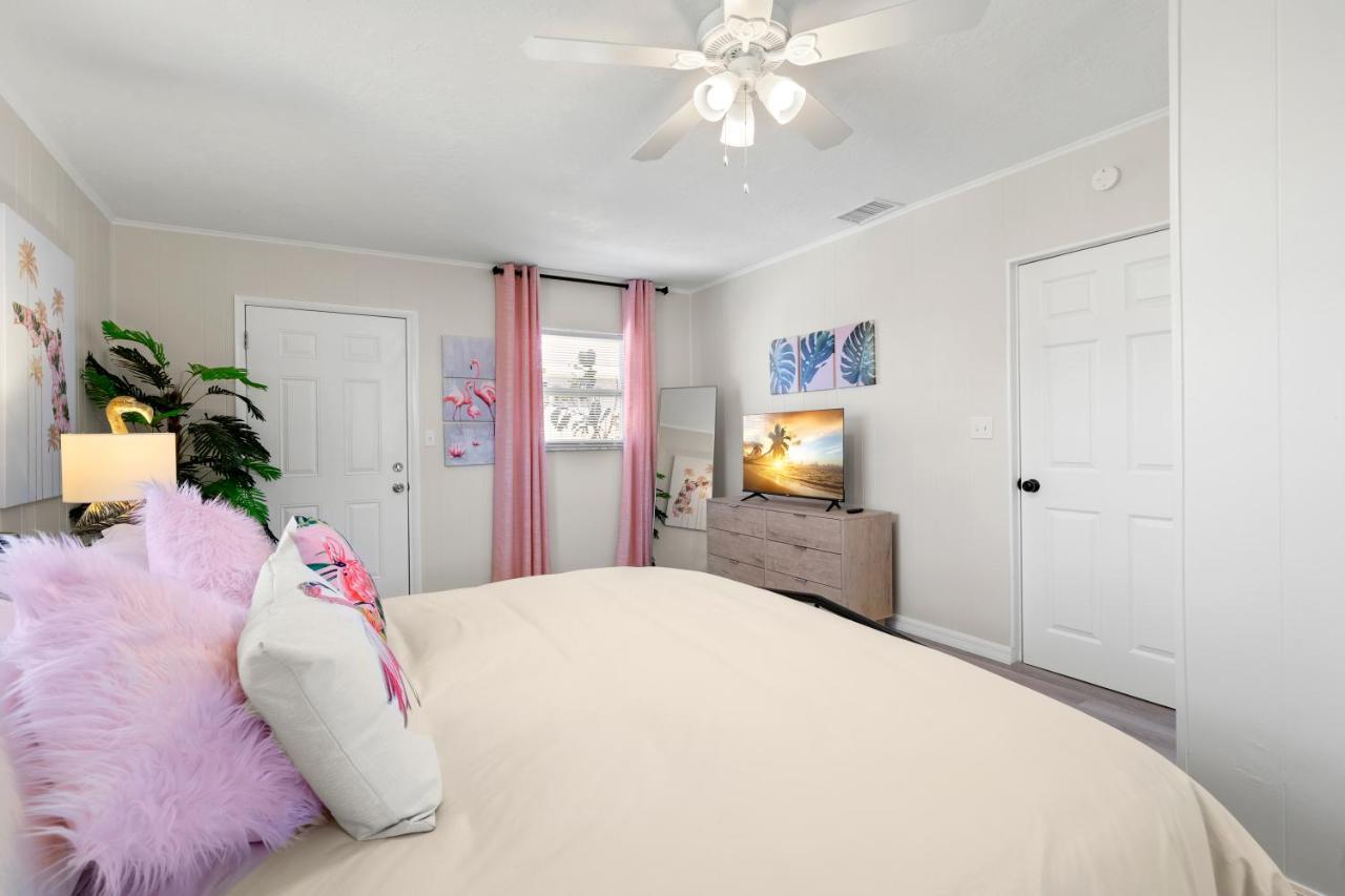 Haus Of Tropicale - Close To Gulf Beaches And Downtown Αγία Πετρούπολη Εξωτερικό φωτογραφία